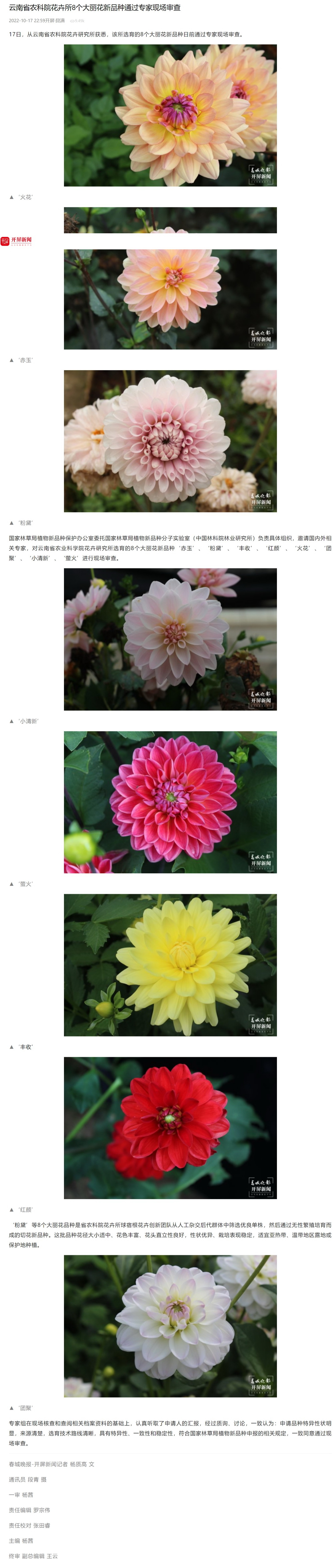 云南省农科院花卉所8个大丽花新品种通过专家现场审查
