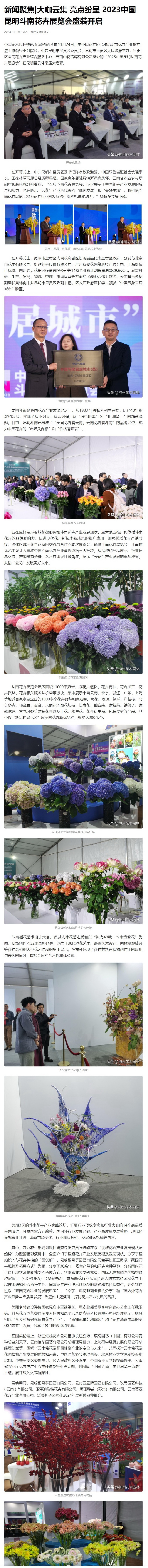大咖云集 亮点纷呈 2023中国昆明斗南花卉展览会盛装开启