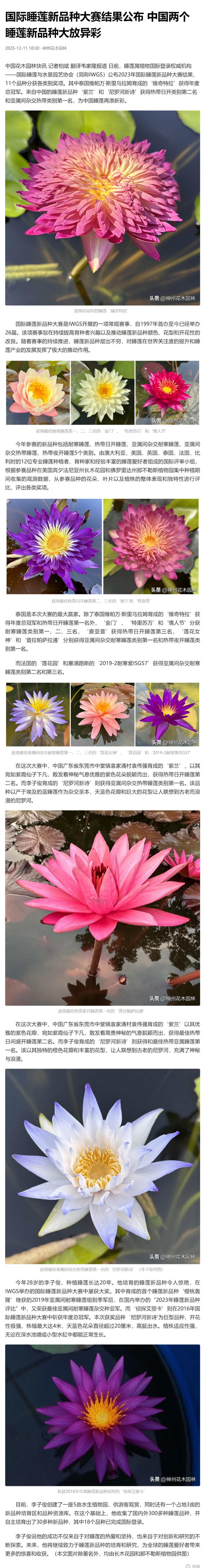 国际睡莲新品种大赛结果公布 中国两个睡莲新品种大放异彩