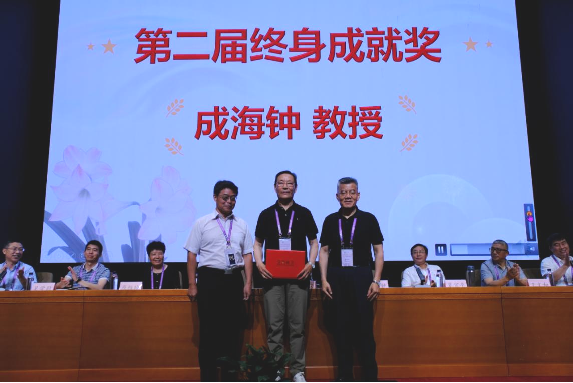 图片4