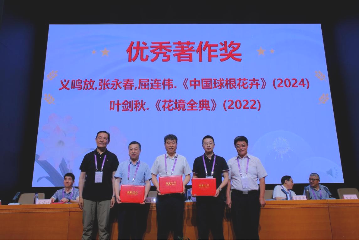 图片6