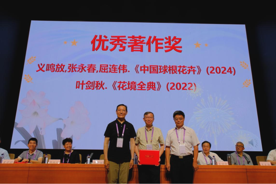 图片6a