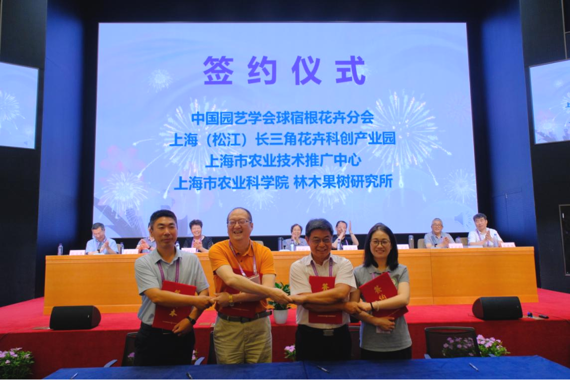 图片7a