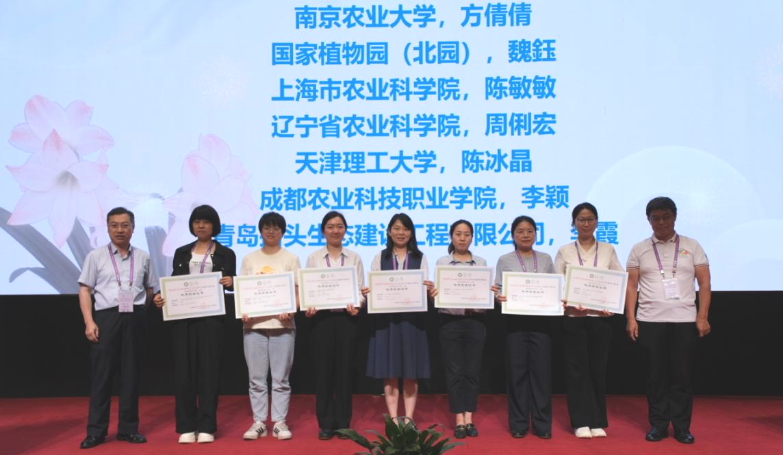 图片14a