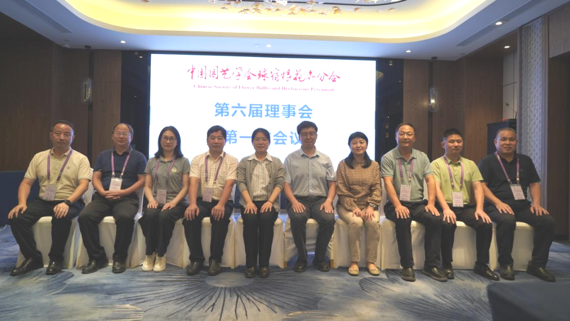 图片20